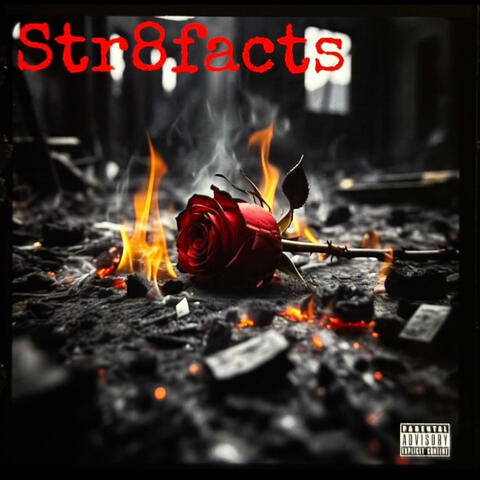 Str8 facts (Radio Edit)