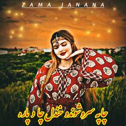 چا په سرو شونډو خندل چا د پاره  Cha Pa Sro Shondo Khandal Cha De Para