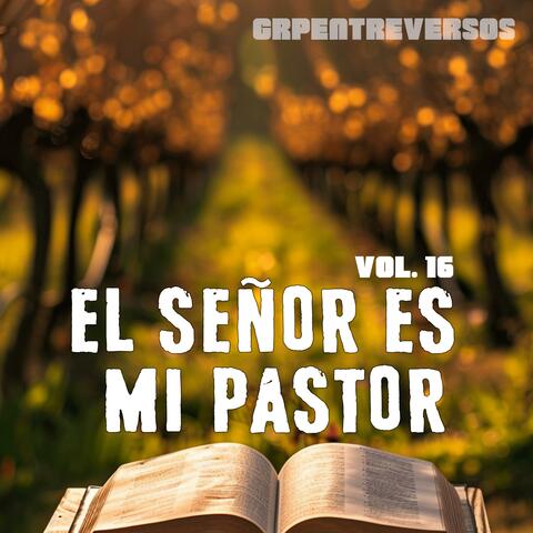El Señor Es Mi Pastor, Vol. 16