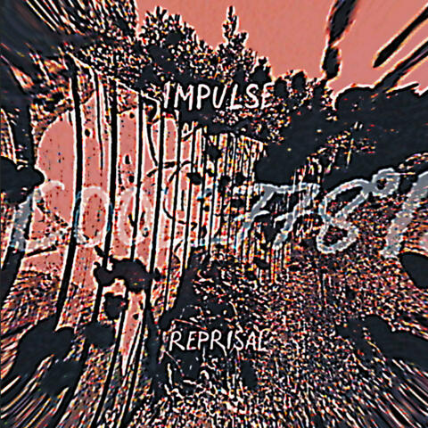 IMPULSE X REPRISAL