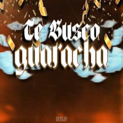 TE BUSCO (Guaracha)