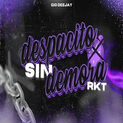 Despacito Sin Demora RKT