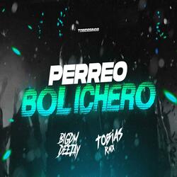 Perreo Bolichero (feat. Tobias RMX  & Bigdm Deejay)