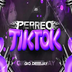 Perreo TkTok