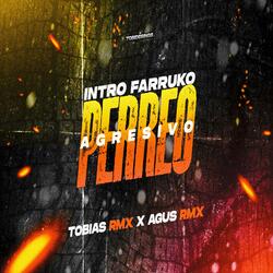 Intro Farru + Perreo (feat Tobias RMX y Agus RMX)