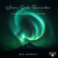 Where Souls Remember (funky D&B version)