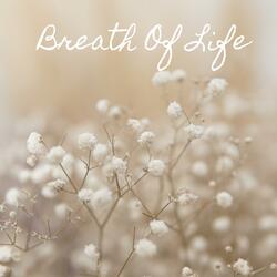 Breath Of Life