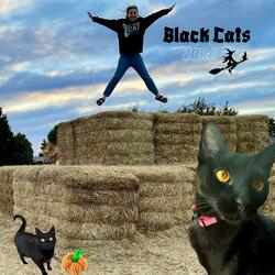 Black Cats