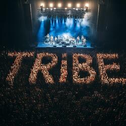 TRiBE (feat. Taber Shy)