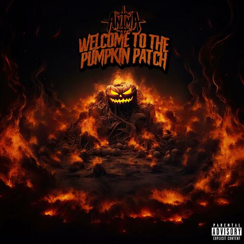 Welcome to the Pumpkin Patch