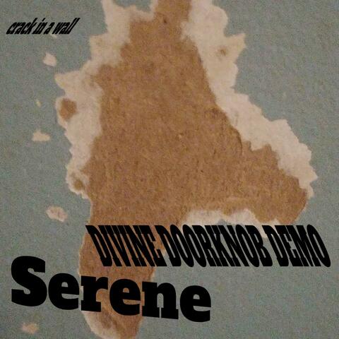 divine doorknob (garage demo)