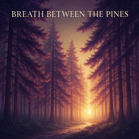 Breath Between the Pines