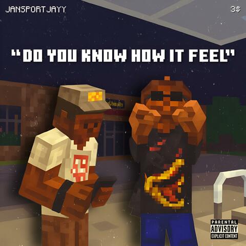Do you know how it feel (feat. Jansportjayy)