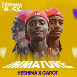 IMMATURE (feat. GAROT)