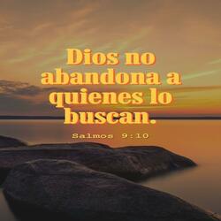 dios no abandona a quien lo busca