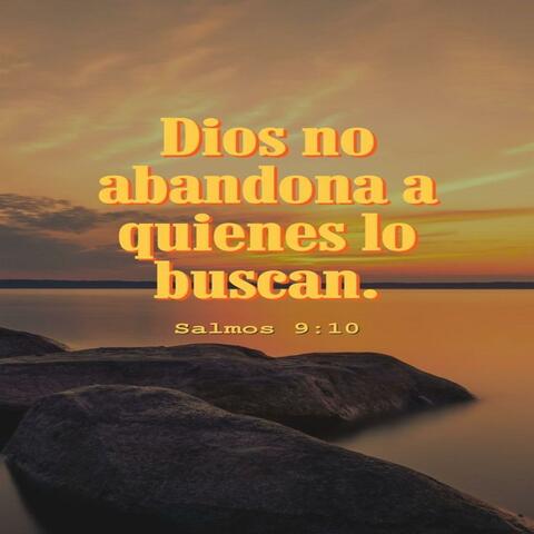 dios no abandona a quien lo busca