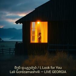 შენ დაგეძებ/i'Look for You