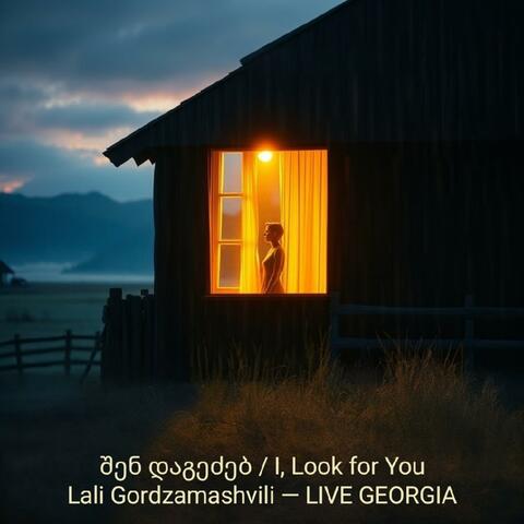 შენ დაგეძებ/i'Look for You