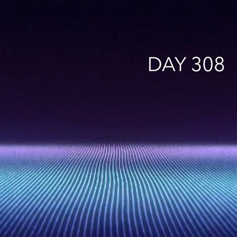 Day 308