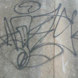 Water Your Seed (Contra-Bass Remix)