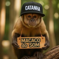 Macacos Trocando Idéia