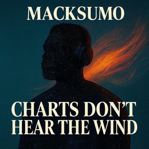 Charts Dont Hear The Wind