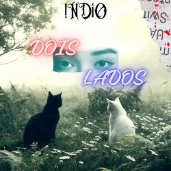 DOIS LADOS