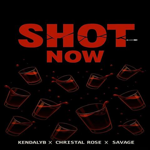 Shot Now (feat. Christal Rose & Savage)