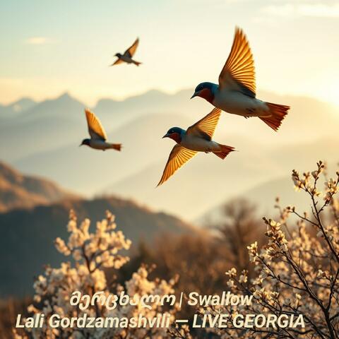 მერცხალო | Swallow