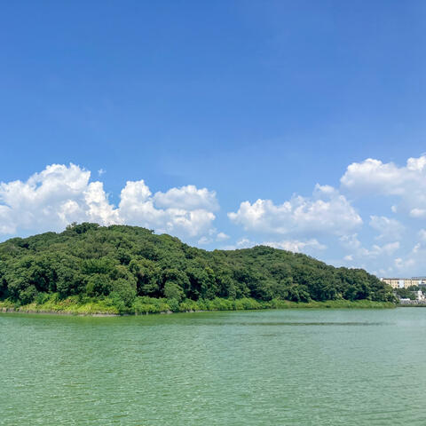 ようこそ！堺市へ My Legacy City, Sakai