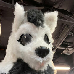 happy halloween kaylie