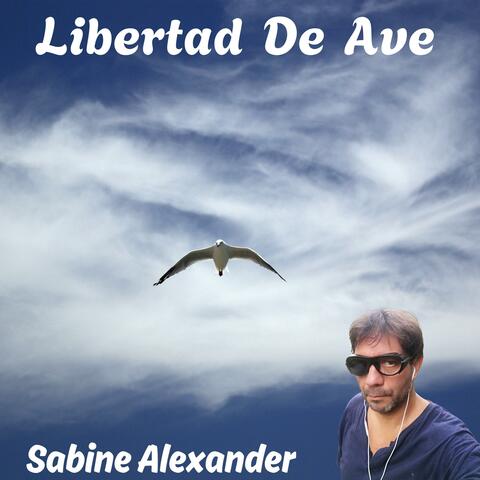 Libertad De Ave
