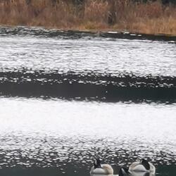 Quizá Esta Primavera