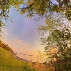 Juntos Frente al Viento