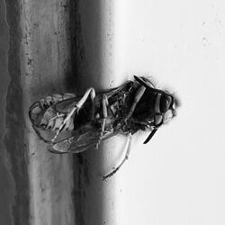 Just In We Missed It