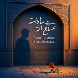 Your Shadow Still Remains