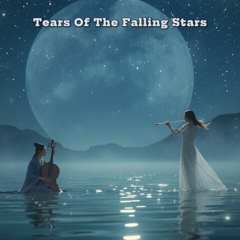Tears Of The Falling Stars