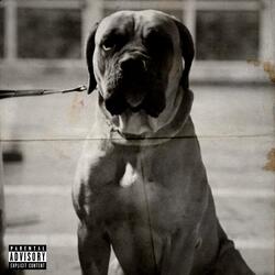 Scacciacani (feat. Viper)