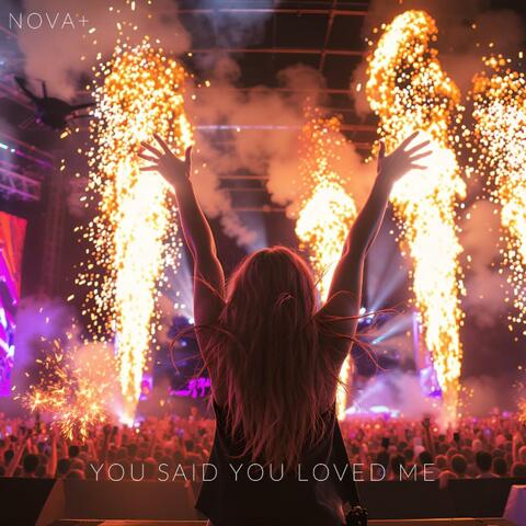 You Said You Love Me