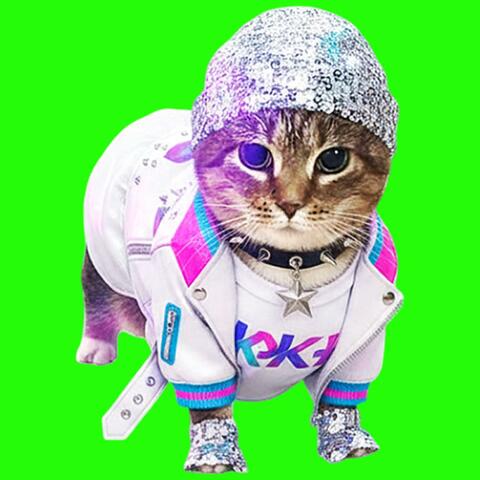 OIIA OIIA K-POP Spinning CAT