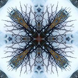 Light That Never Was