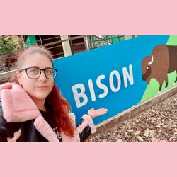 Bison (feat. KeyAir)