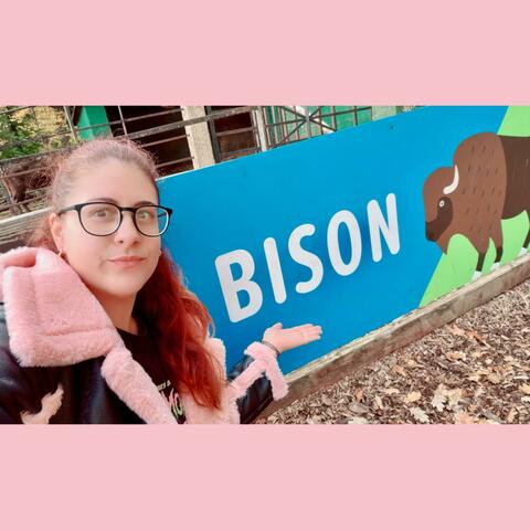 Bison (feat. KeyAir)