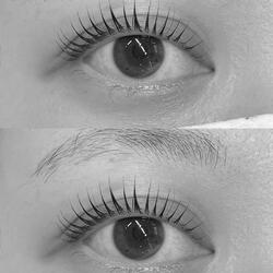 愛してくれる人と恋がしたい