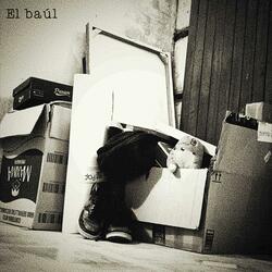 Perro aferrado(Precario 2023)