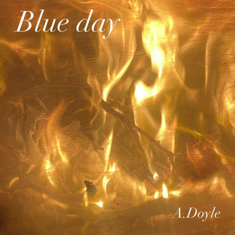 Bushfire blue day