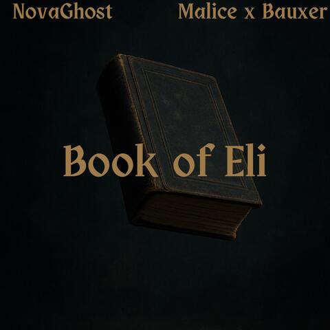 Book of Eli (feat. Bauxer)