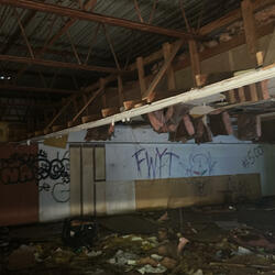 Message from the trap