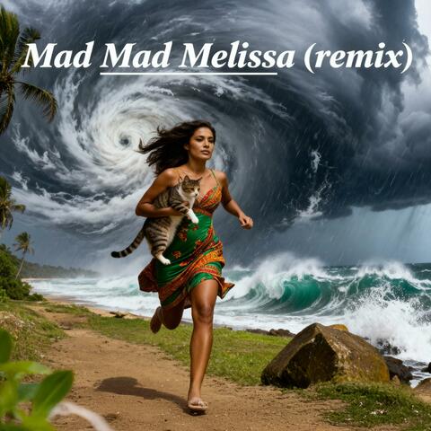Mad Mad Melissa (remix)