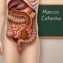 Barriga Roncando? Fome ou Formação de Esterco?